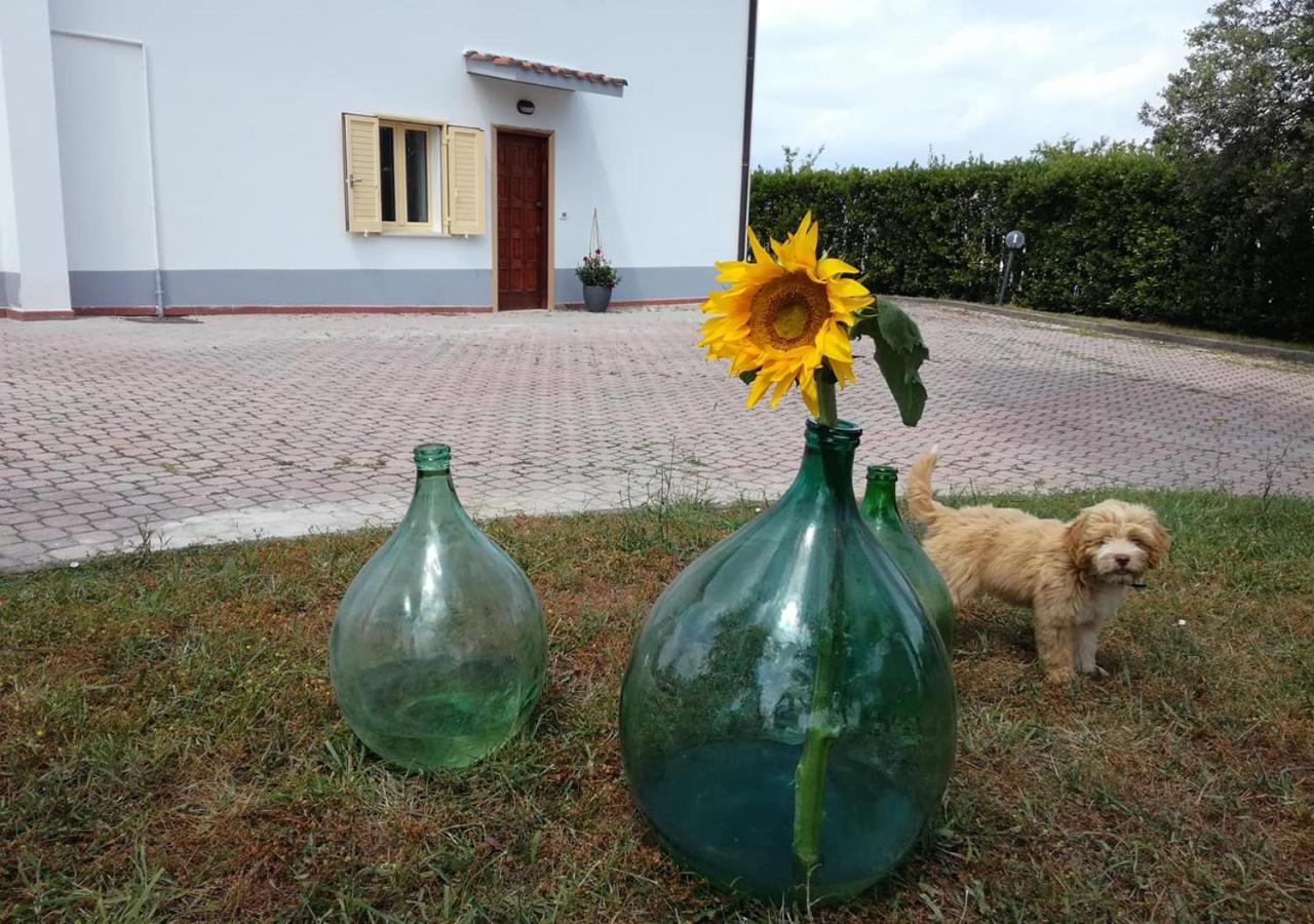 Casa Amrita, Yoga B&B Teramo Exteriér fotografie